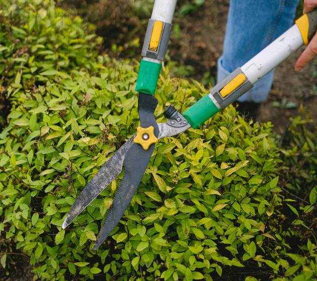 Design ohne Titel - 2025-06-09T123408.154